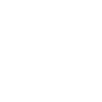 Dash.fi