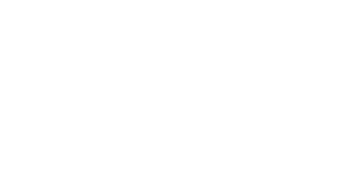 Japan Airlines Logo White